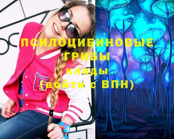 ПСИЛОЦИБИНОВЫЕ ГРИБЫ Верхнеуральск