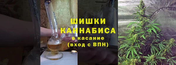 ПСИЛОЦИБИНОВЫЕ ГРИБЫ Верхнеуральск