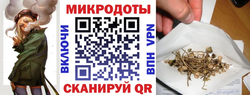 где найти наркотики shop как зайти Псилоцибиновые грибы Psilocybe Ноябрьск